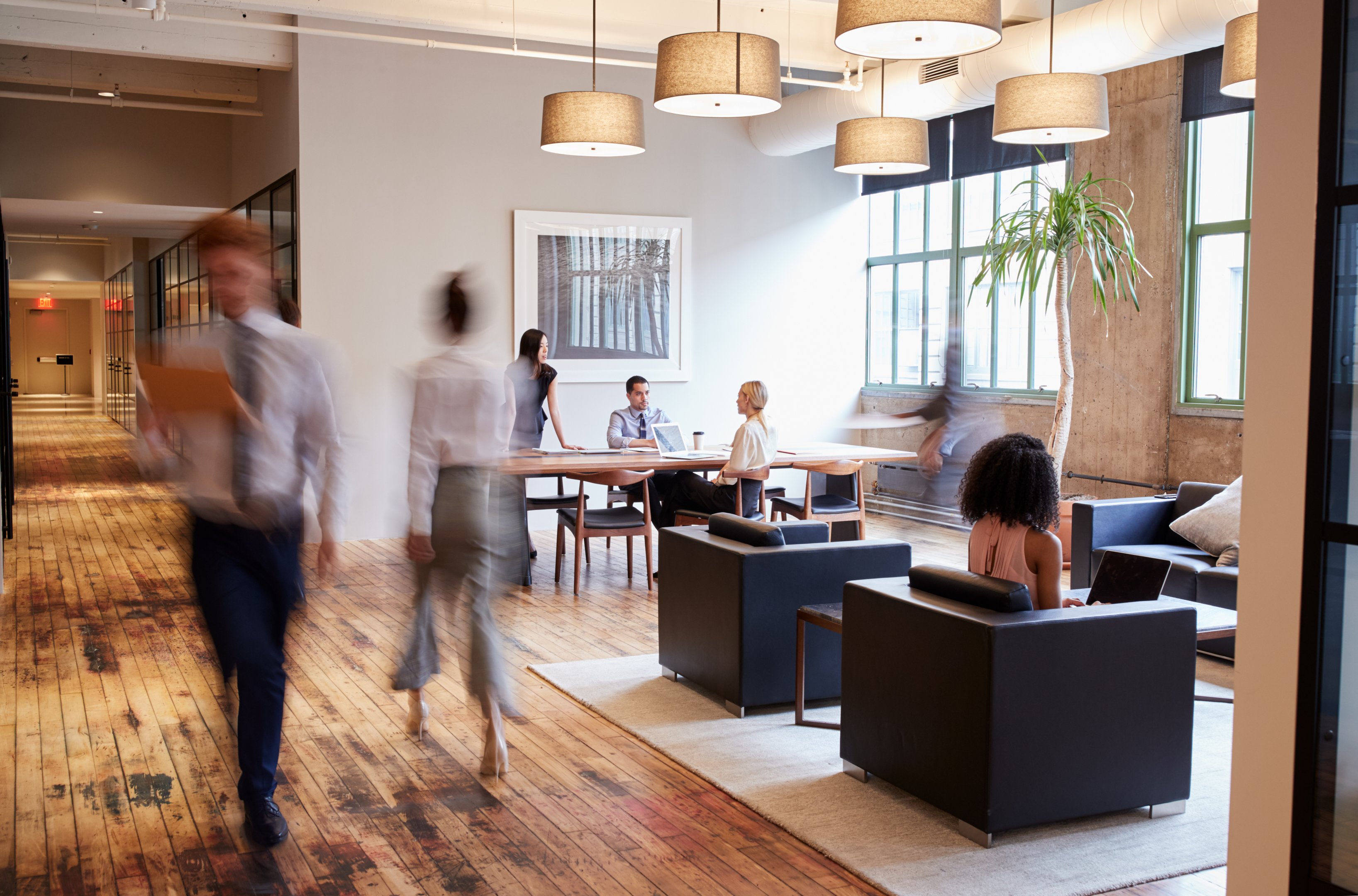 Natural light incorporated in workspace design featuring colleagues