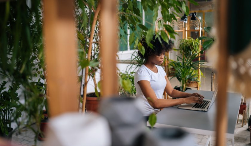green plant office