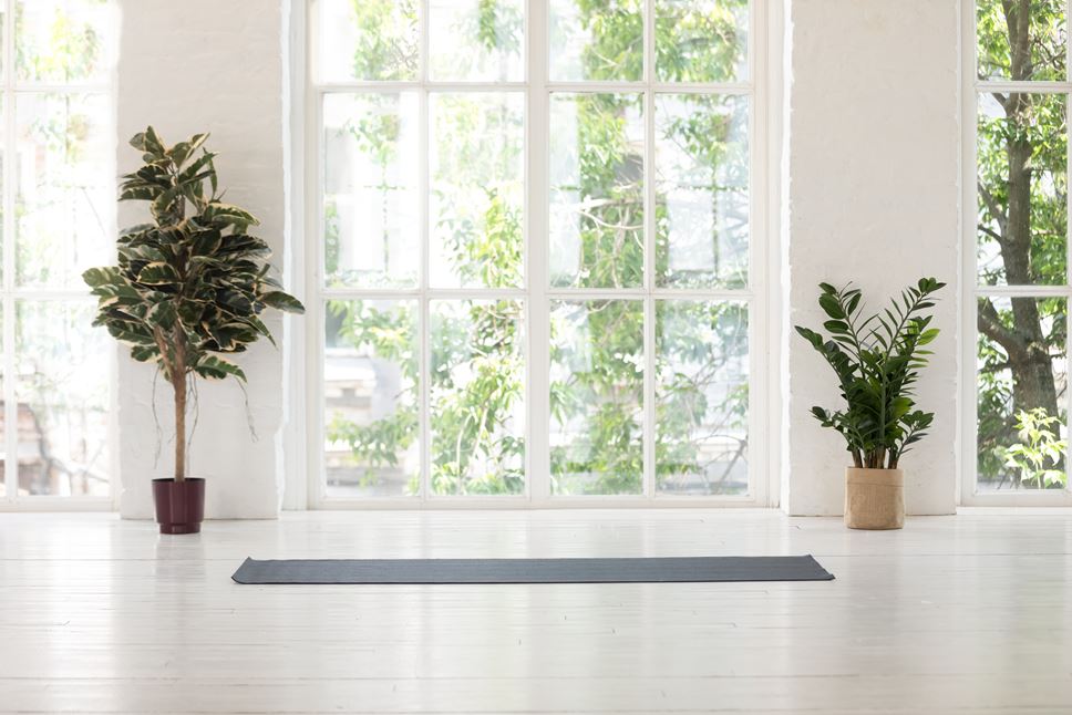 french door home gym